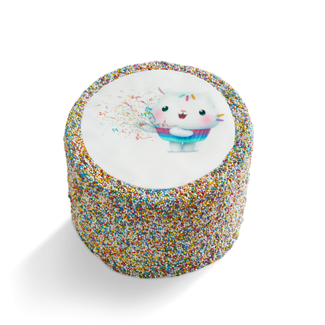 Cakey Cat Sprinkle Party Rainbow Piñata Cake