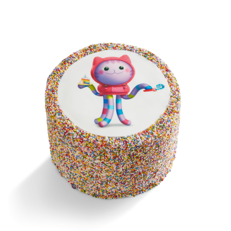 DJ Catnip Sprinkle Party Rainbow Piñata Cake