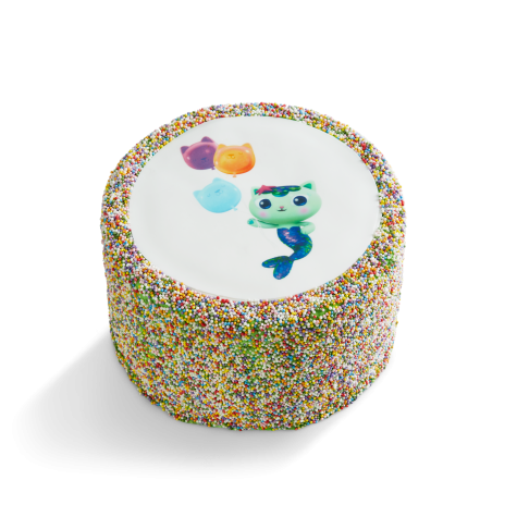 MerCat Sprinkle Party Rainbow Piñata Cake
