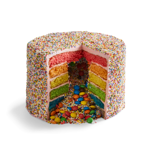 DJ Catnip Sprinkle Party Rainbow Piñata Cake