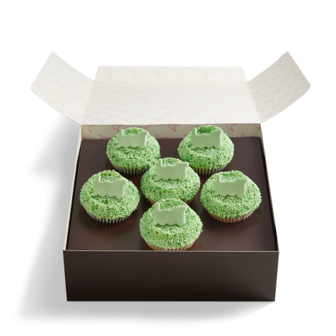 Train Sprinkle Cupcake Selection Box