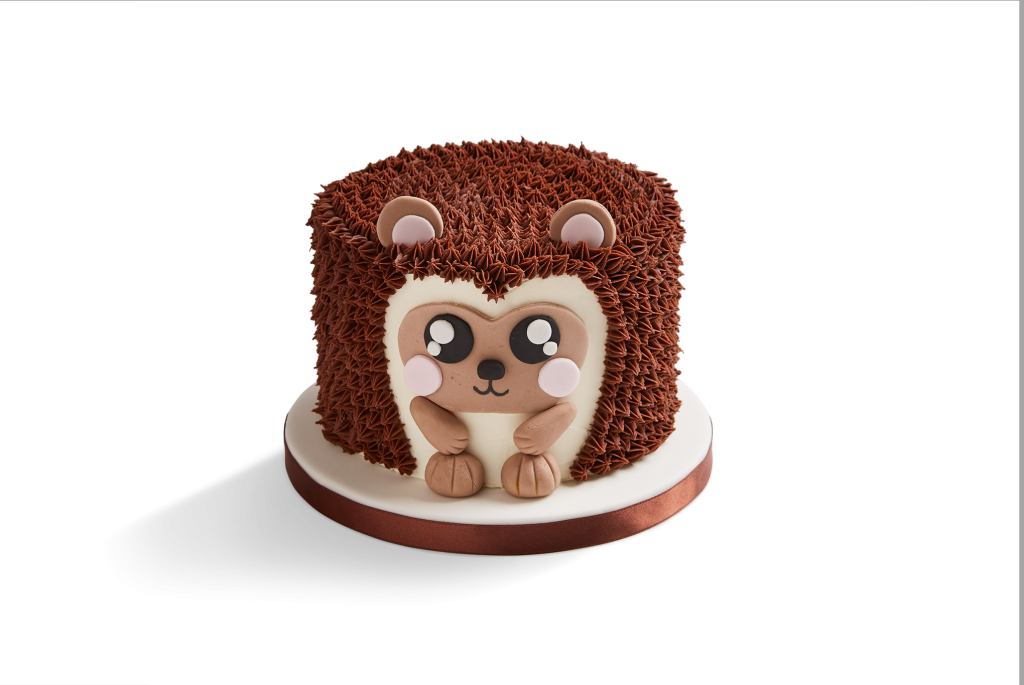 Hedgehog Cake