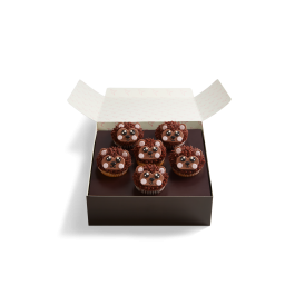 Image of Hedgehog Cupcake Selection Box