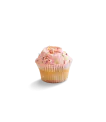 Vanilla Cupcakes thumbnail