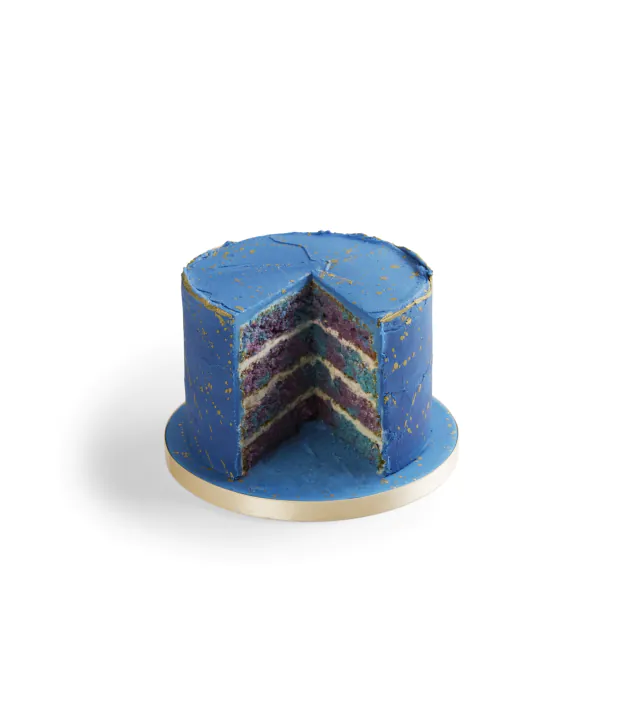 Zodiac Galaxy Cake