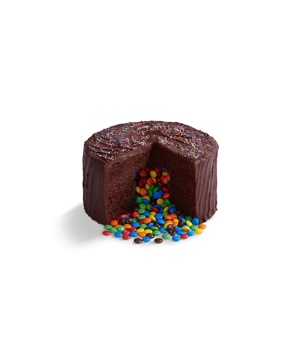 Chocolate Piñata Cake