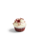 Category - Mini Cupcakes